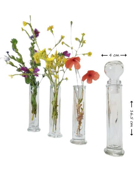 Variedad Probeta de vidrio de 30 ml con tapón de cristal Esencia Andalusí