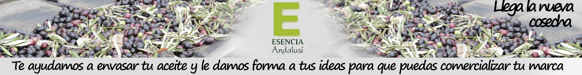 Envasado Aceite Esencia Andalusí