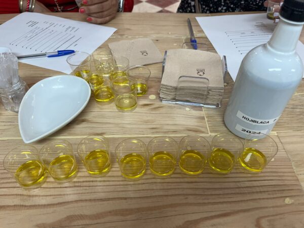 Experiencia de Cata de Aceite de Oliva Virgen Extra y Productos Gourmet